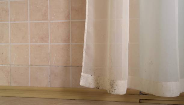 Best Emergency Mold Remediation  in Douglass Hills, KY