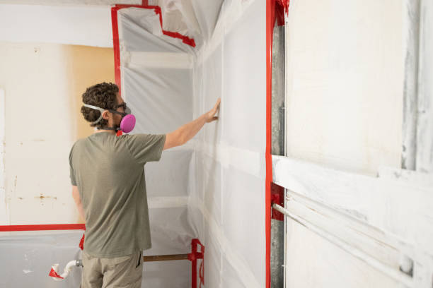 Douglass Hills, KY Mold Removal Company