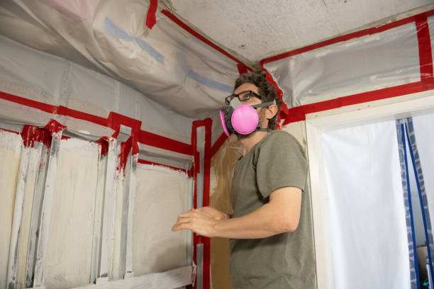 Best Post-Construction Mold Inspection  in Douglass Hills, KY