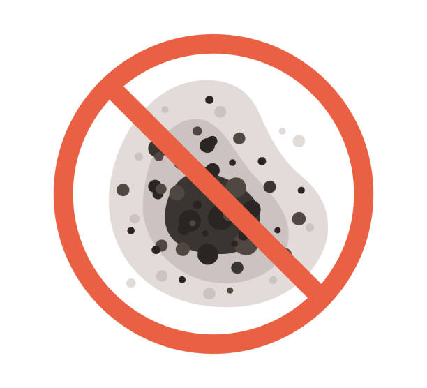 Best Mold Odor Removal Services  in Douglass Hills, KY