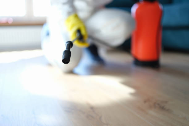 Best Mold Removal for HVAC Installations  in Douglass Hills, KY
