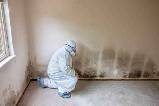 Best Residential Mold Inspection & Testing  in Douglass Hills, KY