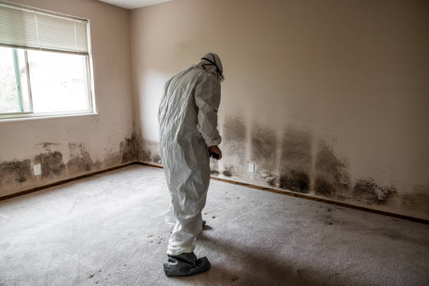 Best Air Quality Testing for Mold Spores  in Douglass Hills, KY